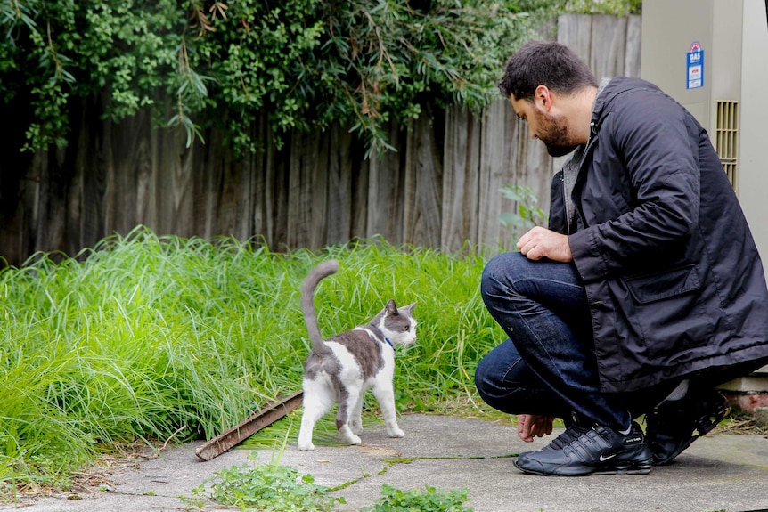 Omar Sakr bends down to greet a cat walking along a path next to grass.