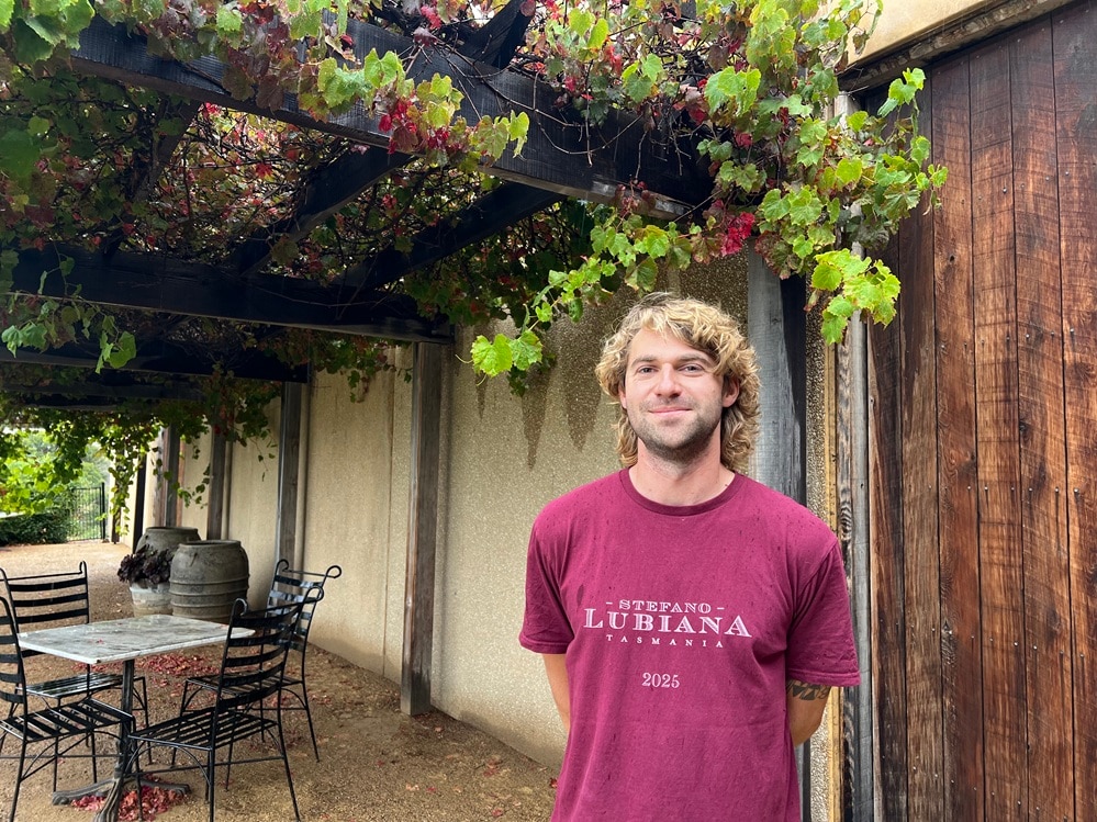 New vintage underway