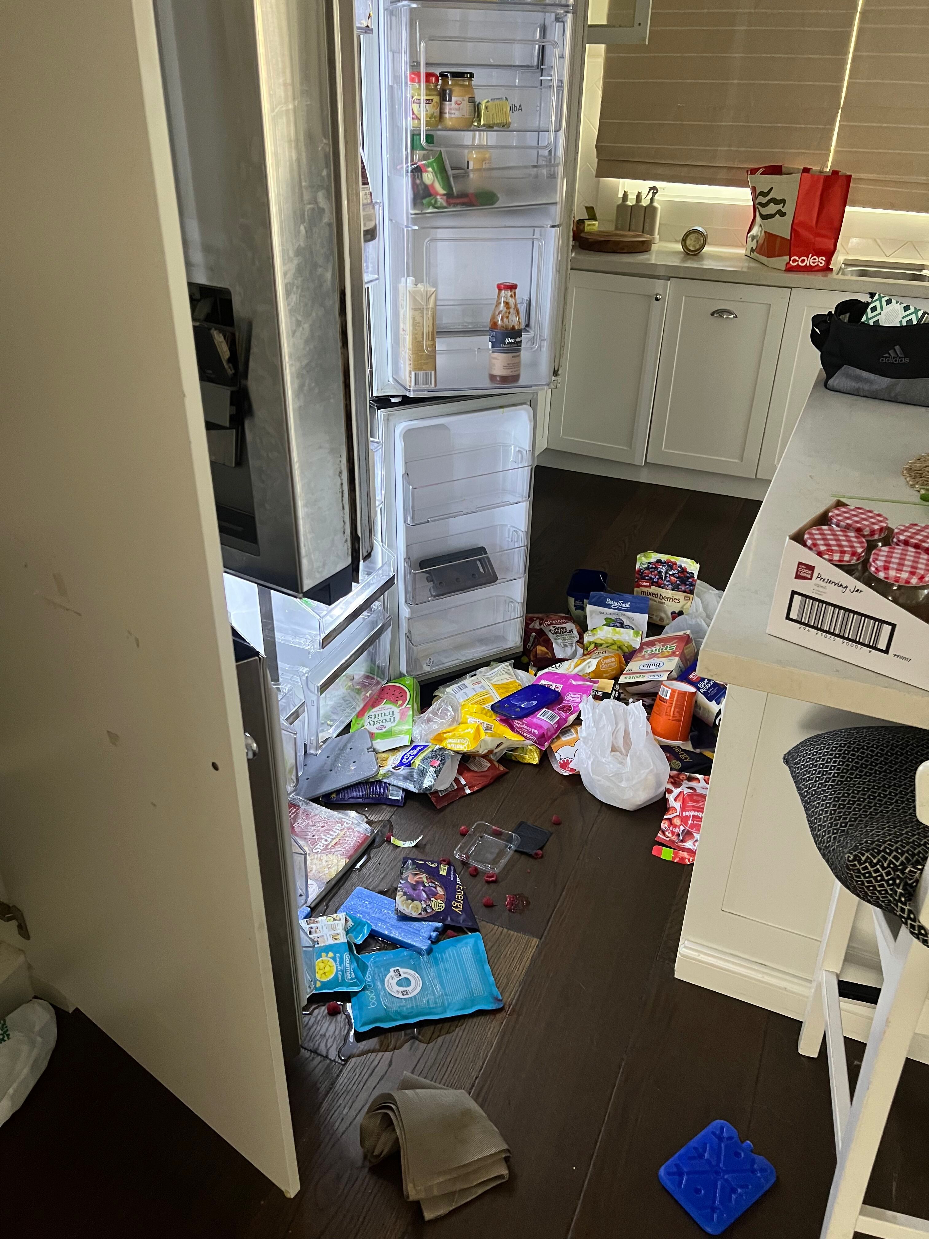An open fridge and food strewn across a kitchen floor.