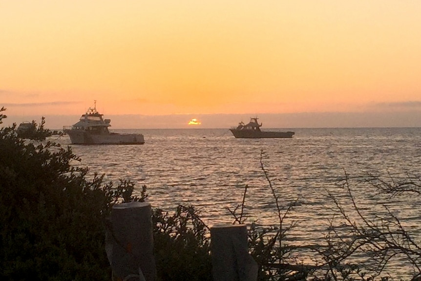 Some fishing boats in the ocean.