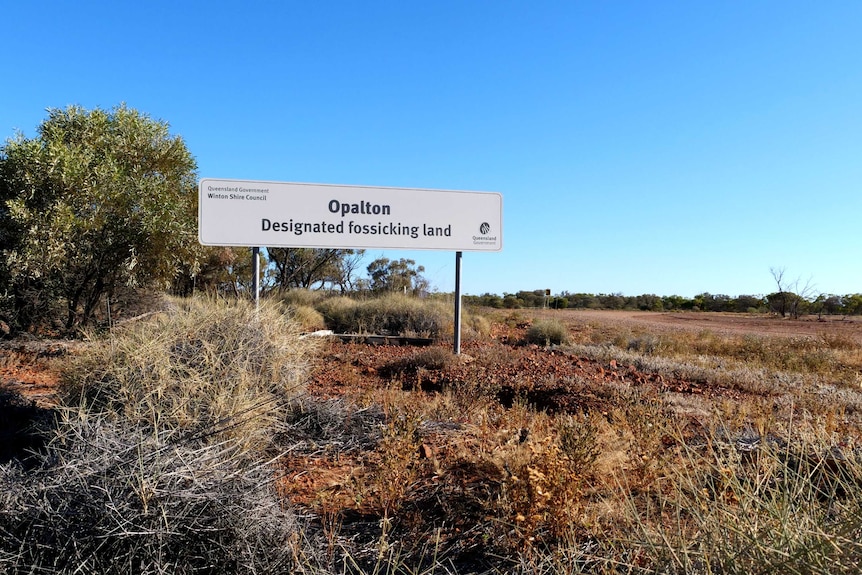 A modern council state gov sign amongst spinifex reads "Opalton Designated fossicking land"