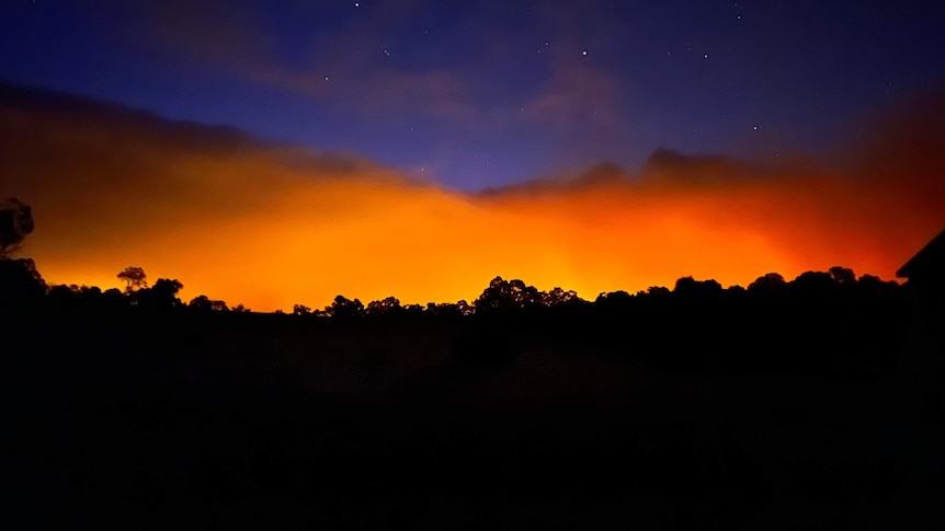 Flames from a bushfire illuminate the night sky.