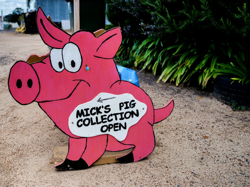 A pig shaped sign with the words 'mick's pig collection open'.