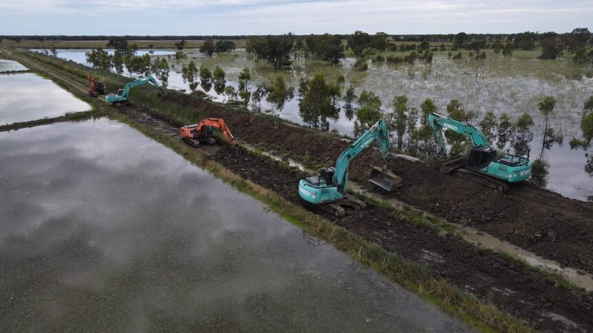 A dirt levee cuts through two flooded field in regional NSW. Four excavators are on top of the levee