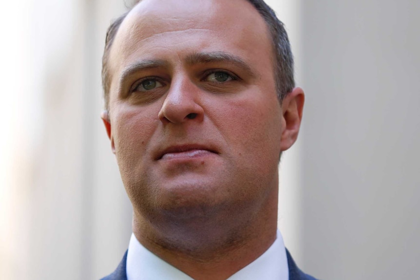 Liberal MP Tim Wilson.