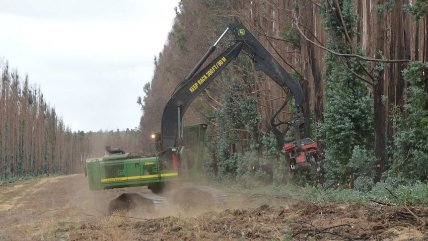 A cleared strip of land bordered by badly scorched pine trees with a green and yellow harvester in the foreground