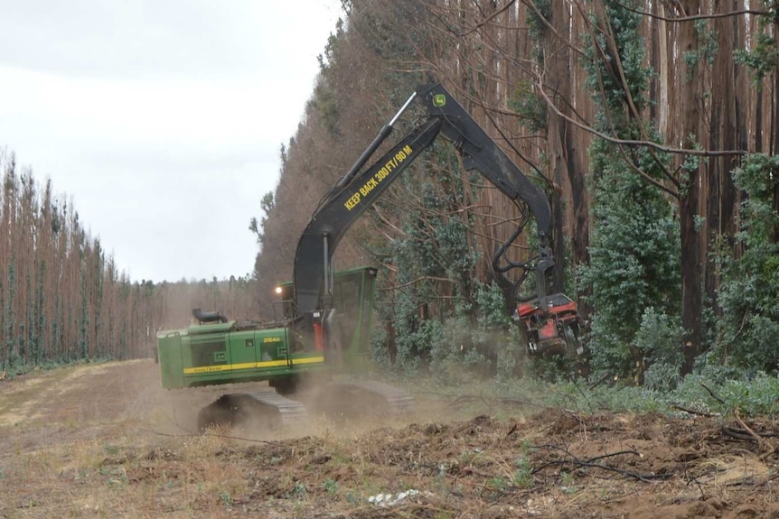 An excavator cuts into a forest