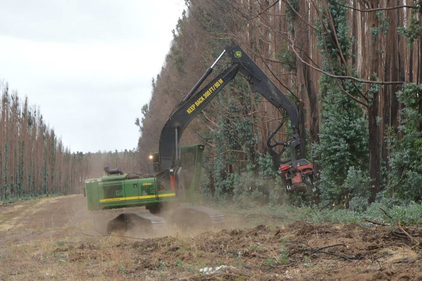 An excavator hacks at trees