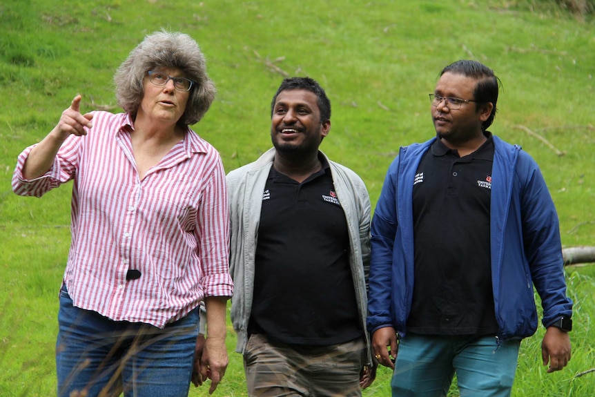 Project supervisor Associate Professor Menna Jones with Barath Golivadda and Bikas Giri, who undertook the research.