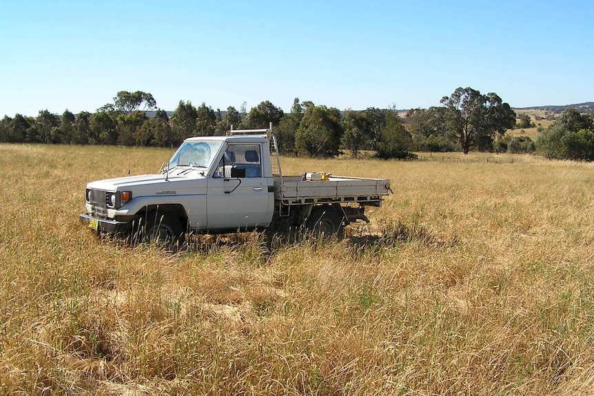 David Marsh's farm 2013