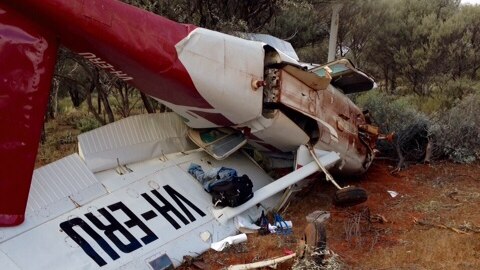 Pilot survives crash