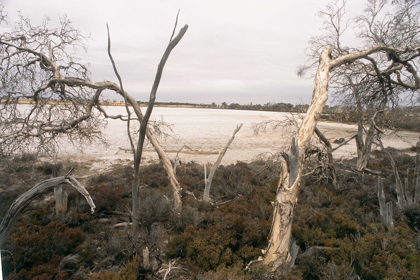 A dried up lake near Wimmera, Victoria