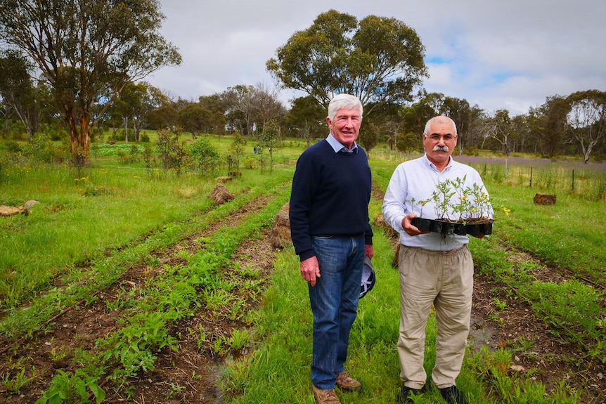 Two men stand side by side in a community garden