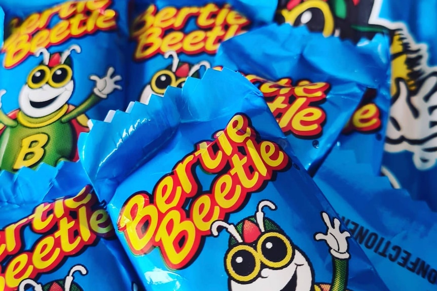 Bolso de exhibición Bertie Beetle