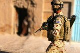 The survey is the largest ever into the mental health of ADF personnel.