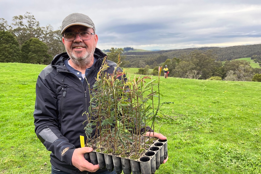 A smiling man wears a black jacket and holds a tray of tree seedlings among the rolling green hills of his property.