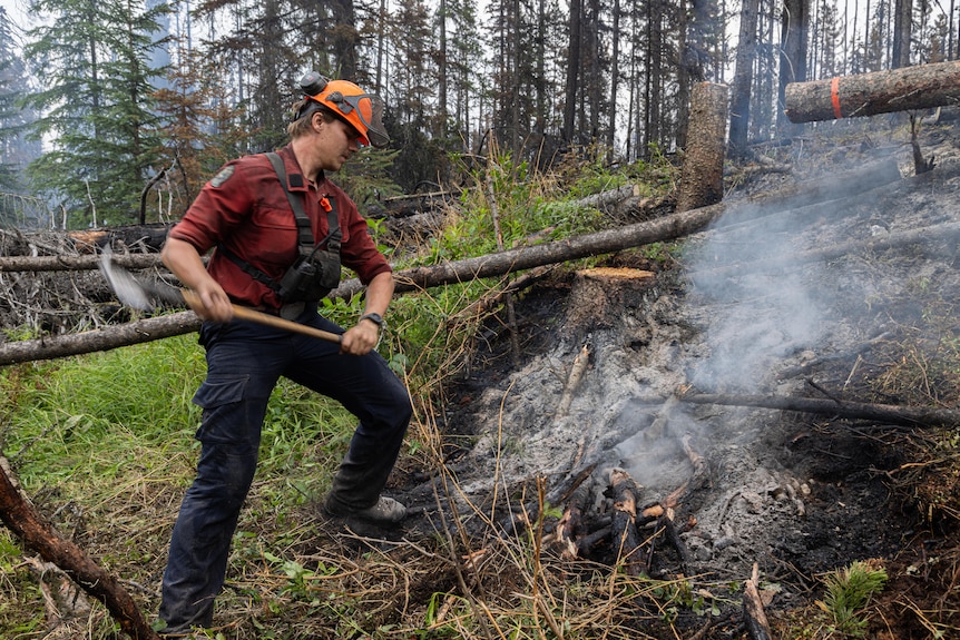 A firefighter in a red shirt with an axe stands over a pile of smoking, ashened tree remains in a forest.