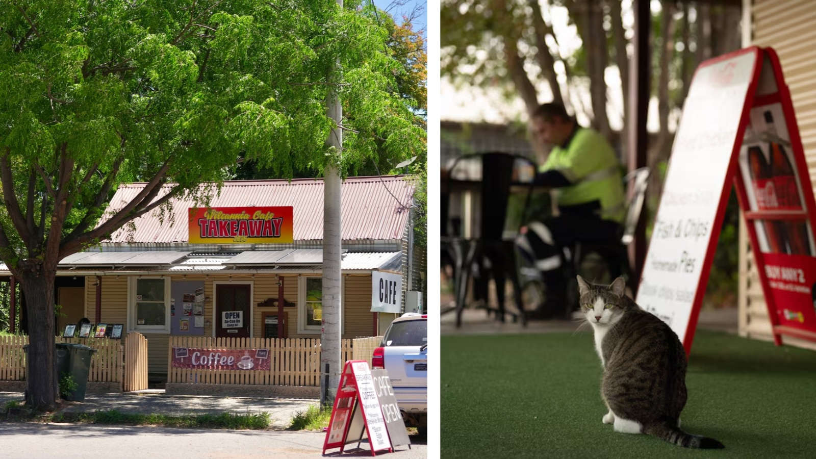 Wilcannia cafe with cat