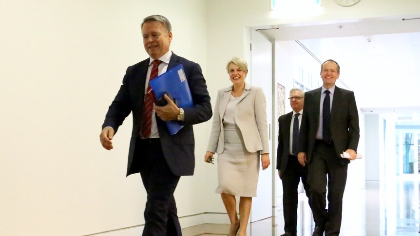 Bill Shorten moves through the halls of parliament house