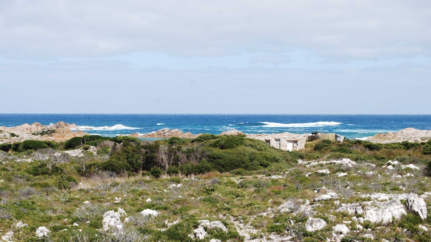 West Point in Tasmania's north west