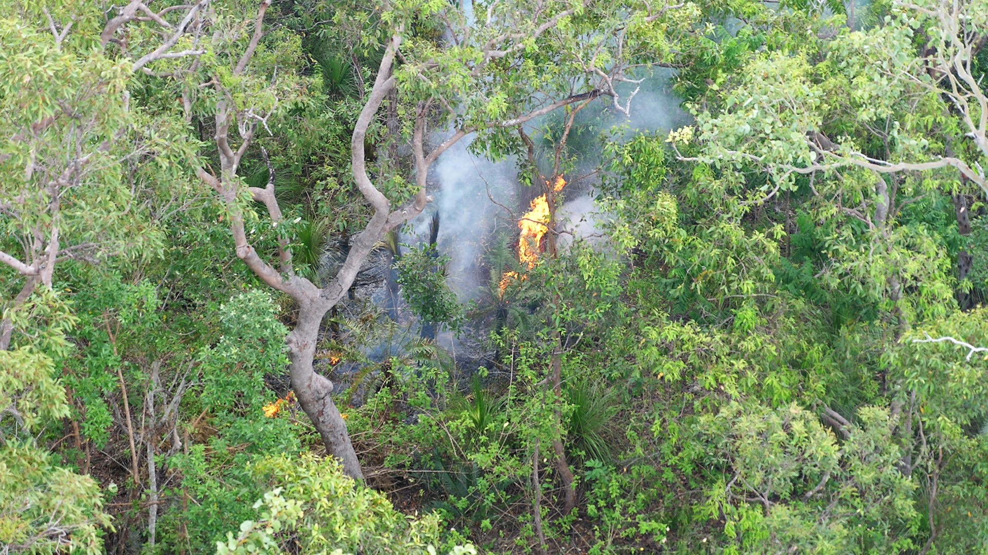 Rangers Drop Fire From The Sky In North Queensland To Protect ...