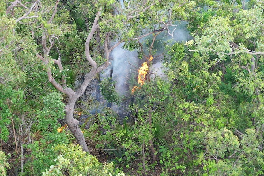 Looking into a forest area from the air, where a fire is burning