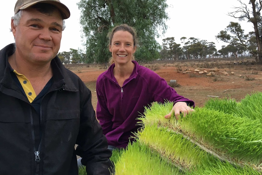 Man and woman flank lush green grass in a pile on back of farm ute