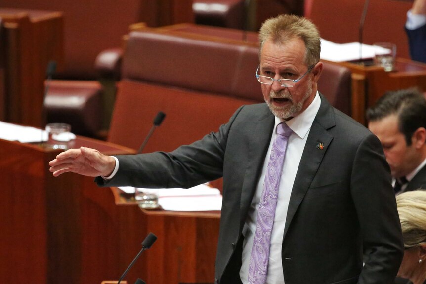 Senator Scullion is mid sentence, with his hand out stretched. He's wearing glasses and a purple tie.