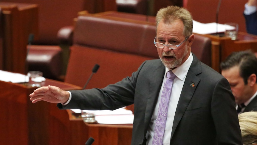 Senator Scullion is mid sentence, with his hand out stretched. He's wearing glasses and a purple tie.