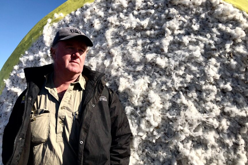 A man in a cap and black jacket stands in front of a cotton bale.