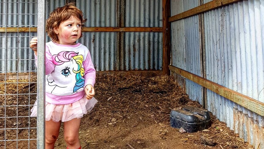 A young girl wears a tutu and gumboots, while standing in a farm shed.