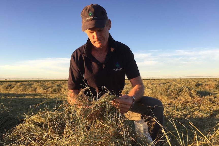 Agronomist Fergal O'Gara at Neutral Junction