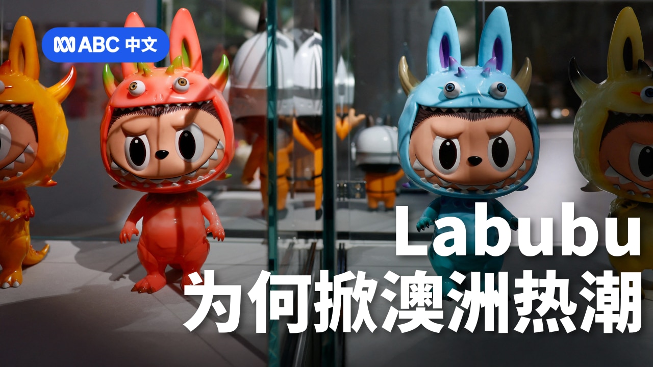 “拉布布”为什么会在澳洲火出圈？