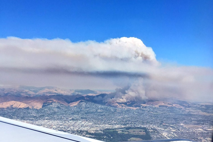 Smoke billows from a fire near Christchurch, as seen from a plane window.