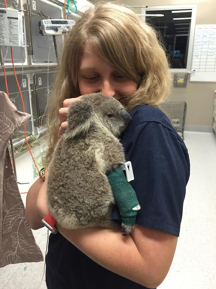 Paris Tootell with Bob the baby koala