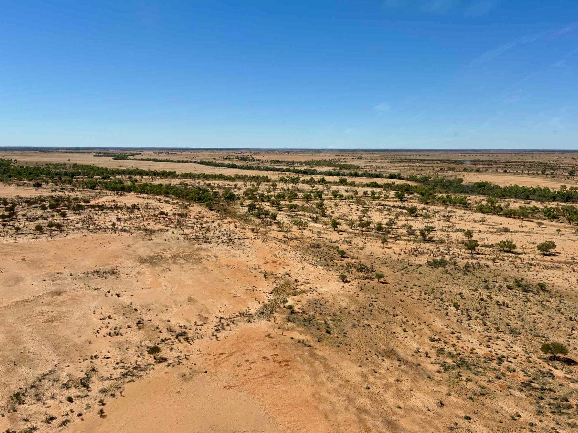 Paisagem interior árida mostrando terreno com algumas árvores e horizonte azul