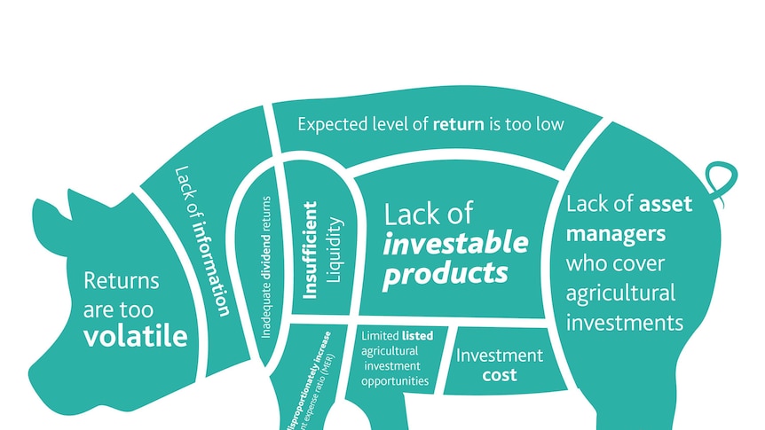 Graphic of pig showing reasons why super funds did not invest in agriculture