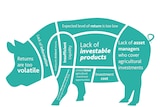 Graphic of pig showing reasons why super funds did not invest in agriculture