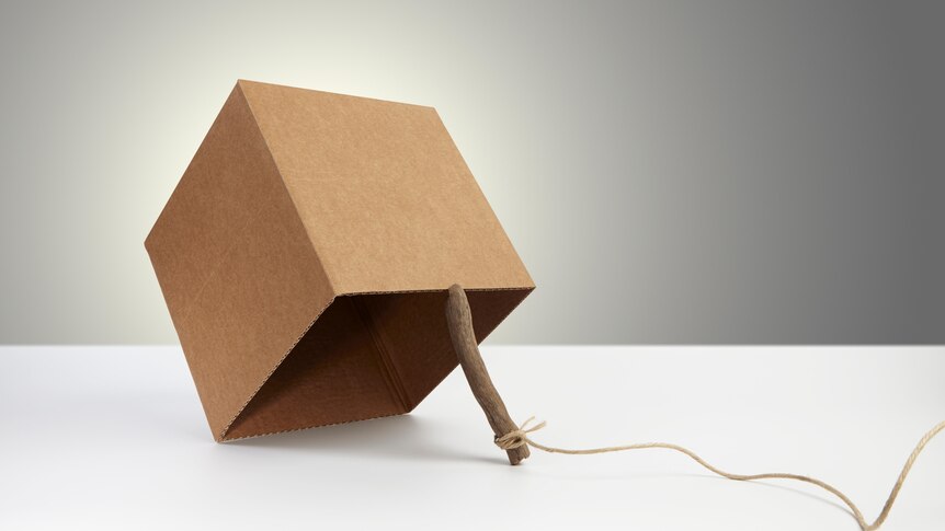 A trap made from a box propped up by a stick
