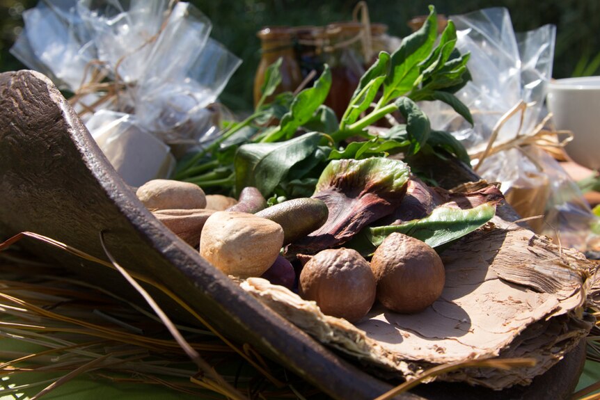 Bunion nuts and bush foods