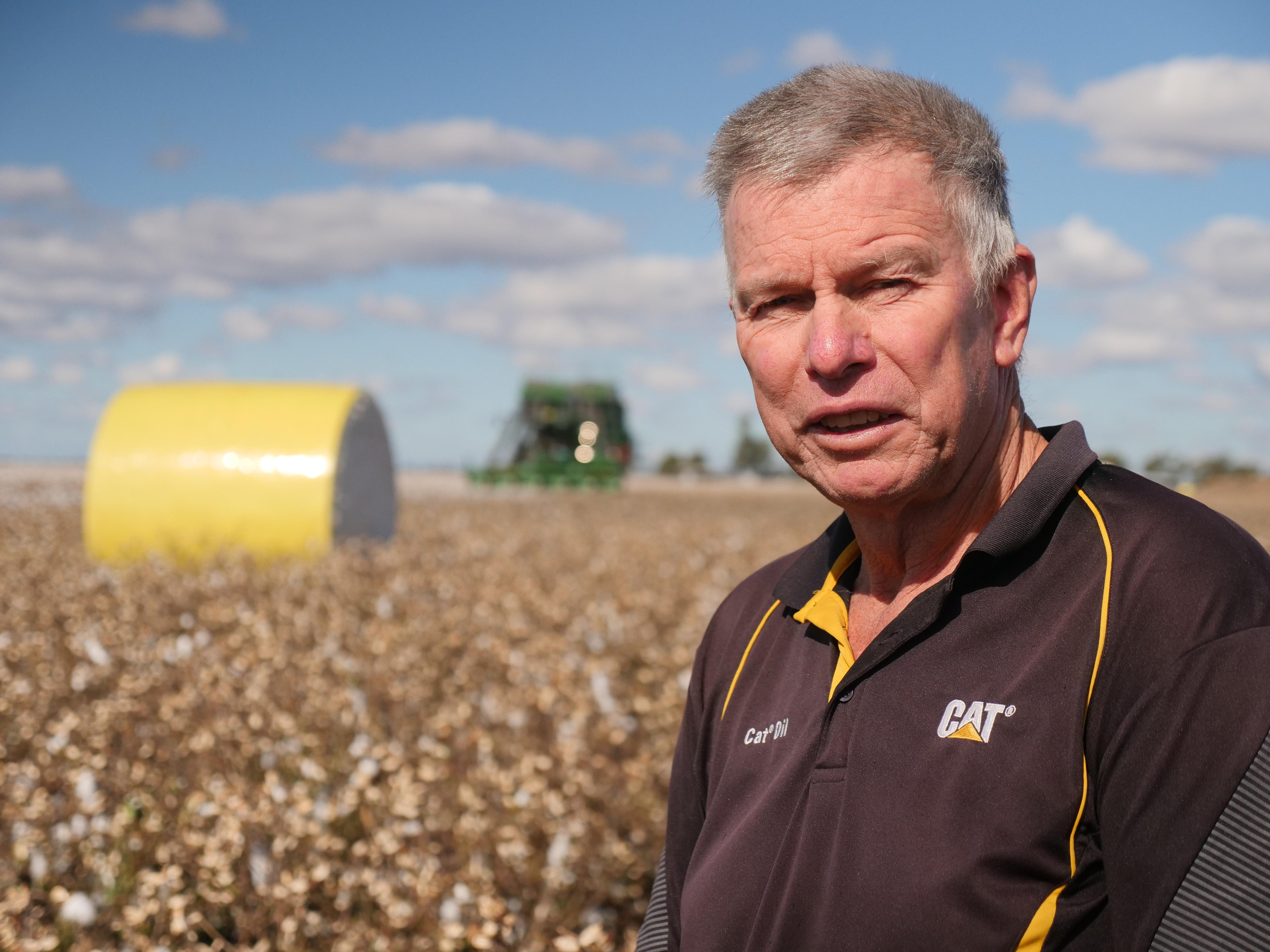 Cecil Plains cotton grower Stuart Armitage is standing in his cotton crop with a harvester in the background.