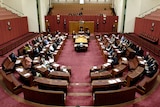 The Senate at Parliament House in Canberra.