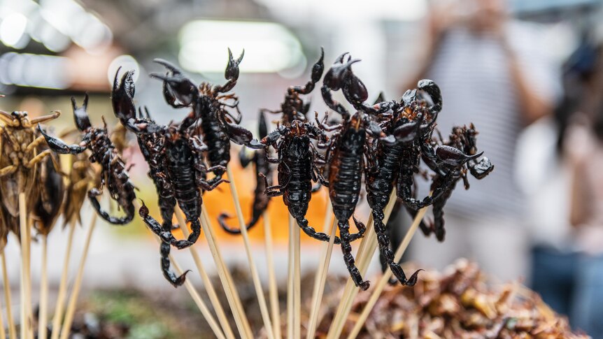 Scorpions on a stick at a market