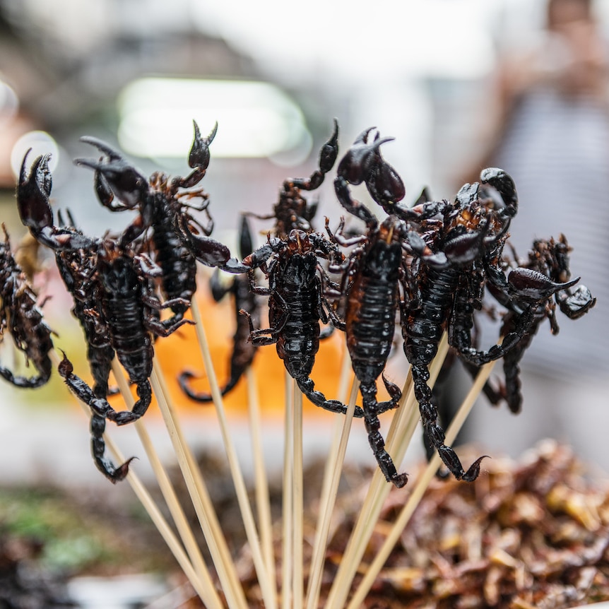 Scorpions on a stick at a market