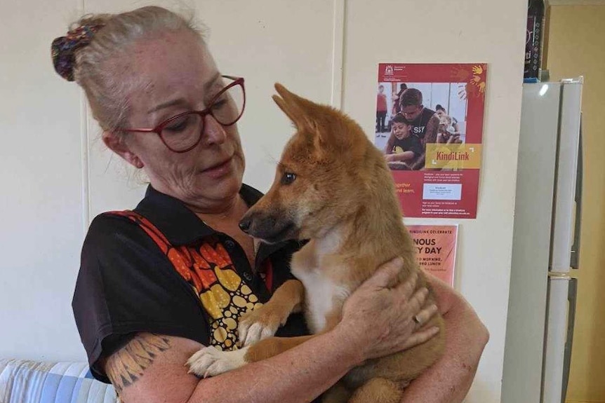 Lady with glasses holds dingo pup