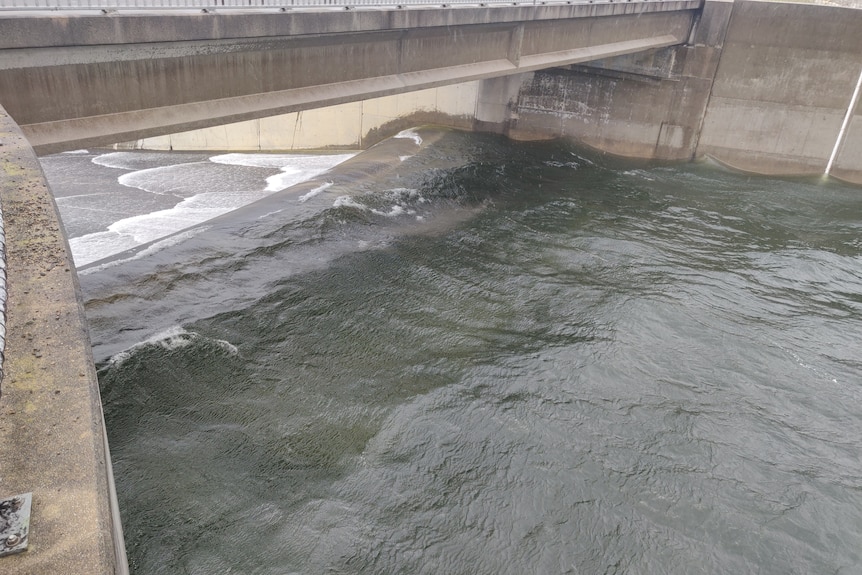 The Thomson Dam spillway as water flows over the top.
