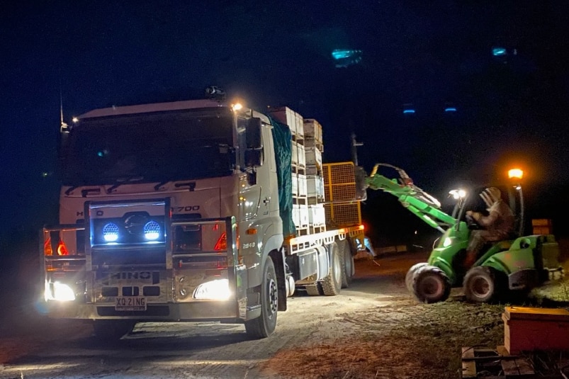 A small machine loading bees on a truck at night.