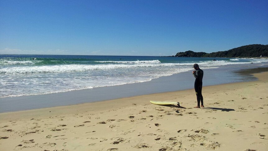 Surfers return to the water after a shark attack at Shelly Beach, near Port Macquarie NSW, 6 December 2013
