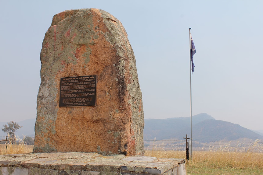 Stone monument stands in grass area with a flag pole and mountains in background