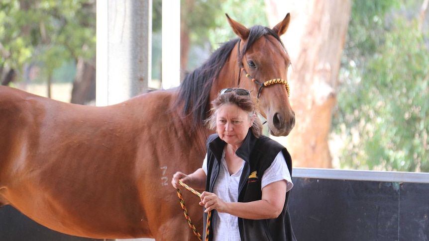 Anne Young with one of the horses that arrived on her property in April 2016.